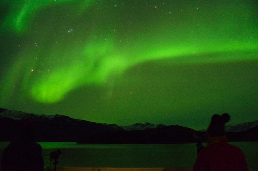 Aurora Borealis across Rypefjord, Scoresby Sund © Tobias Brehm (19).jpg