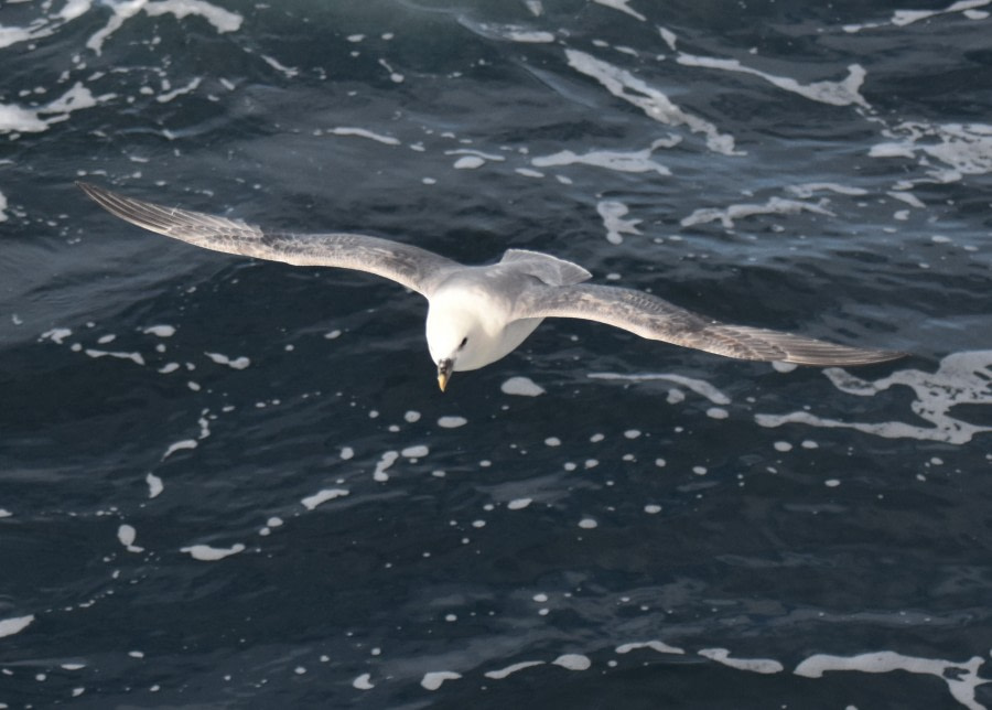 Auf See in Richtung Island