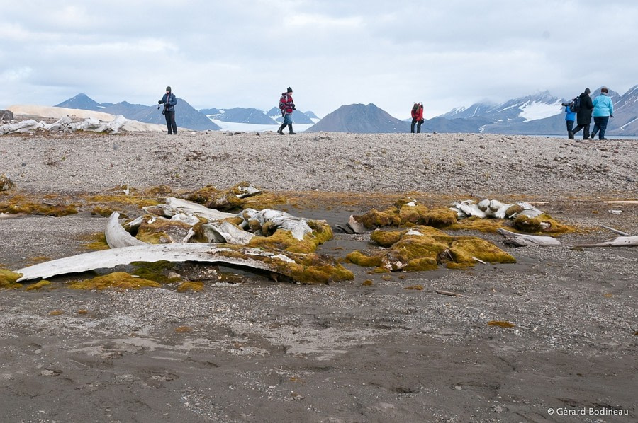 Im Hornsund: Gåshamna, Zodiac Cruise in der Burgerbukta