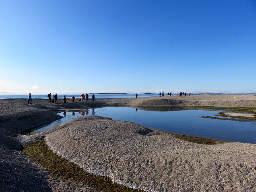 Torellneset and Vibebukta