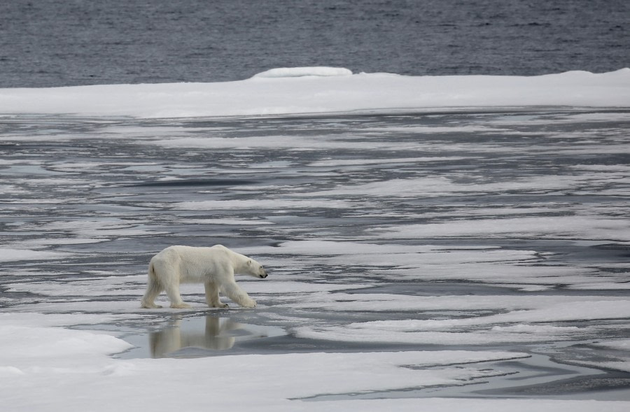 Expedition Day in the Ice