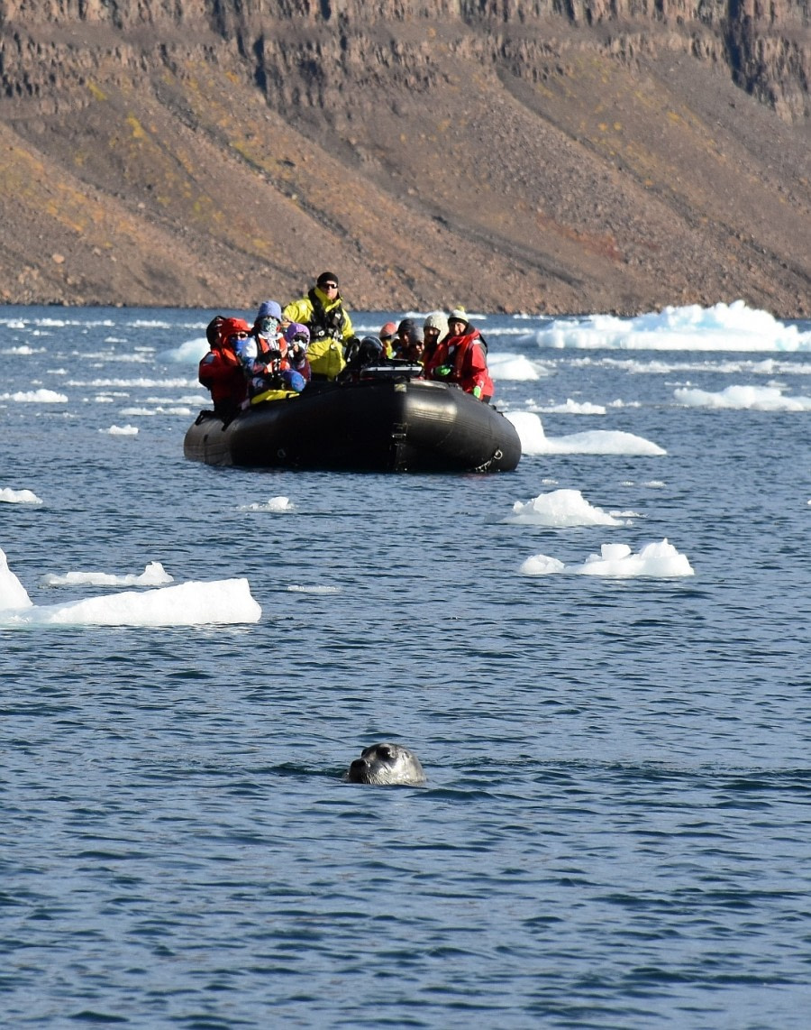 PLA16-17, Day 3 20170913 Asa Lindgren seal & zodiac _Oceanwide Expeditions.JPG