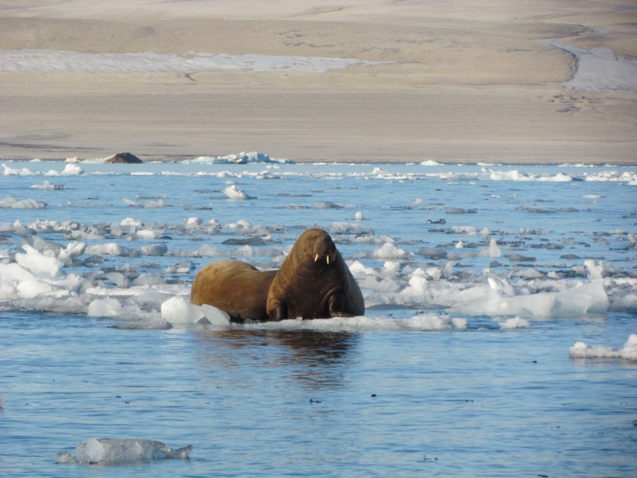 OTL14-17, Day 6, IMG_5933_© Oceanwide Expeditions.JPG