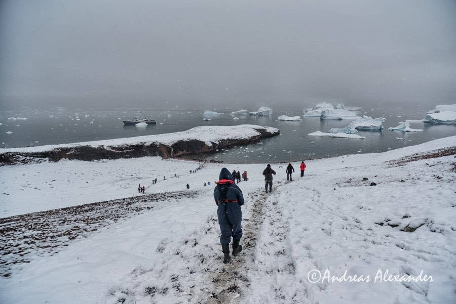 PLA17-17, Day 4 Day4_RedIsland_descent_AndreasAlexander _Oceanwide Expeditions.jpg