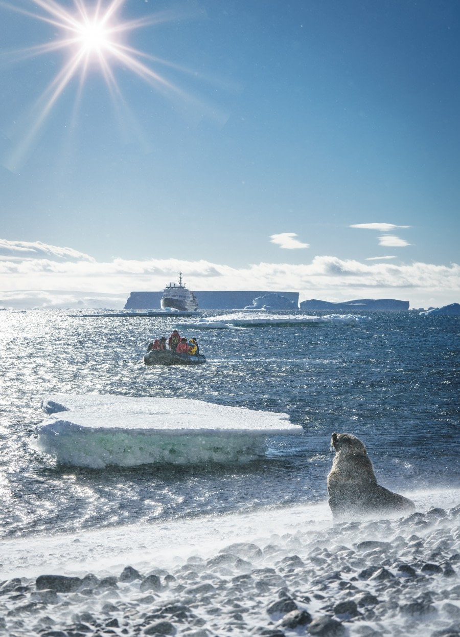 Brown Bluff | Oceanwide Expeditions