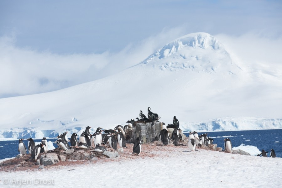 Goudier & Jougla Pt/ Damoy Point Weincke Island