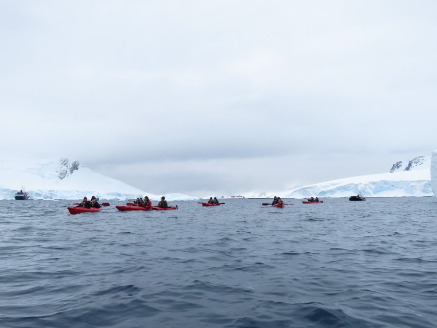 TRIP LOG OTL21-17, Day 6 IMG_5806_© Oceanwide Expeditions.JPG