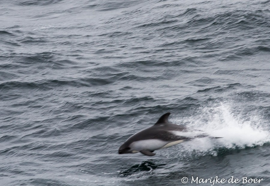 Drake Passage! (Back to a bit of shake!)