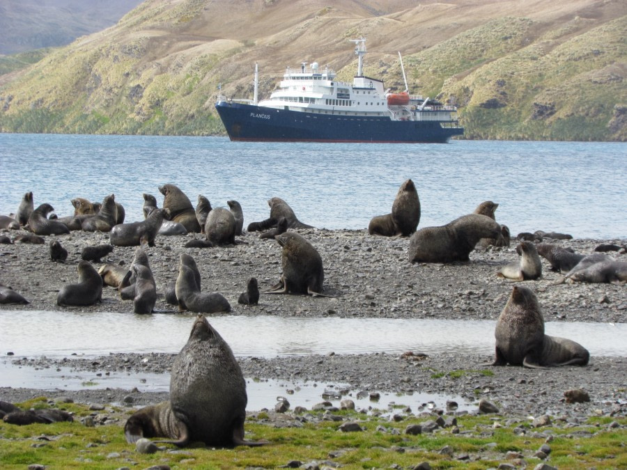 Stromness and Fortuna Bay, South Georgia