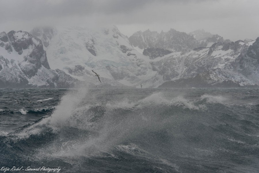 PLA23-17, Day 10 20171209_Katja Riedel_DSC_4803_© Oceanwide Expeditions.jpg