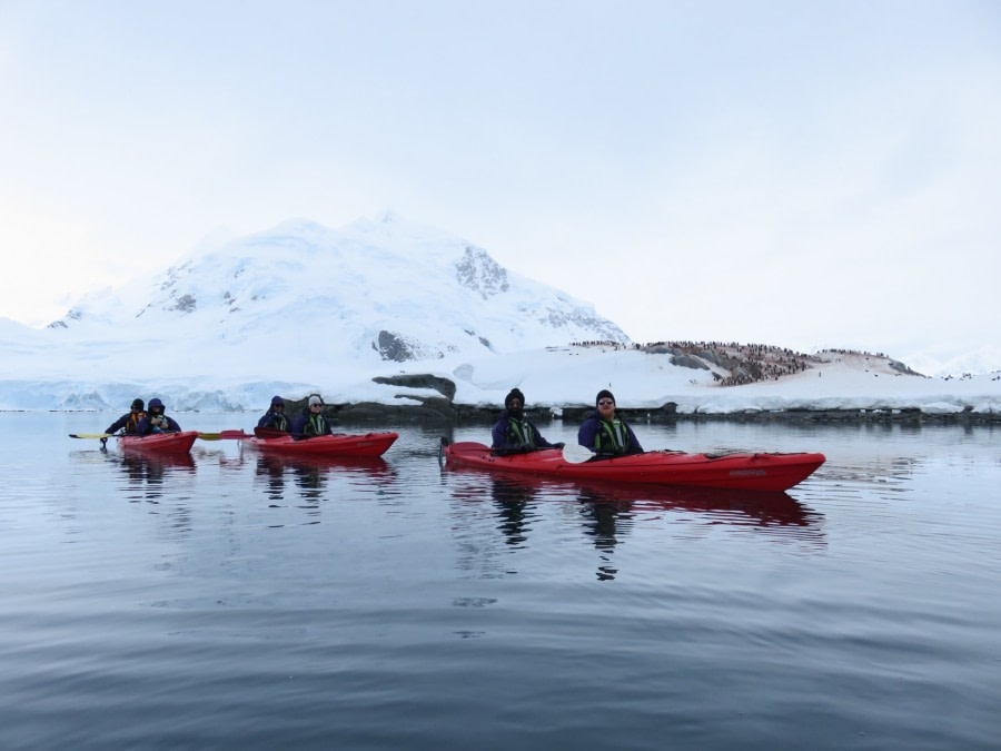 TRIP LOG OTL21-17, Day 8 IMG_6002_© Oceanwide Expeditions.JPG