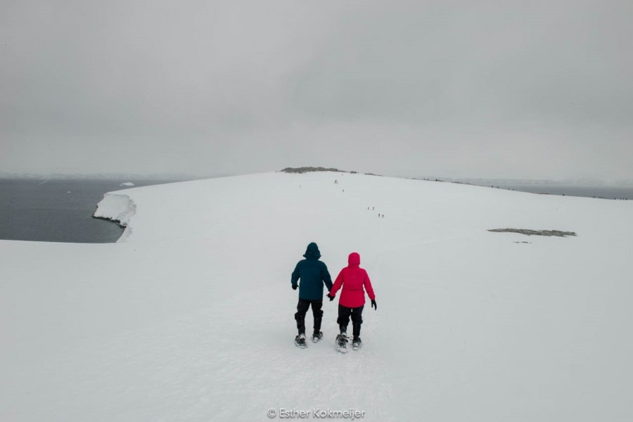 PLA25-17, 2018-01-03 Damoy Point - snowshoeing - Esther Kokmeijer-09_© Oceanwide Expeditions.jpg