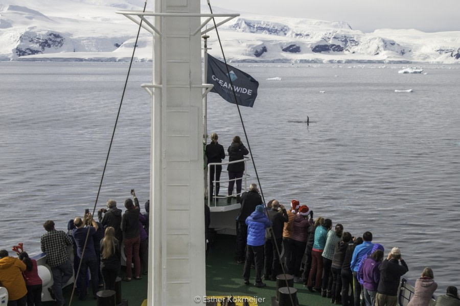 PLA24-17, 2017-12-25 - Gerlache Strait Esther kokmeijer-10_© Oceanwide Expeditions.jpg