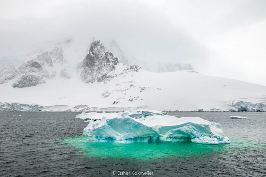 PLA25-17, 2018-01-04 Lemaire Channel - Esther Kokmeijer-09_© Oceanwide Expeditions.jpg