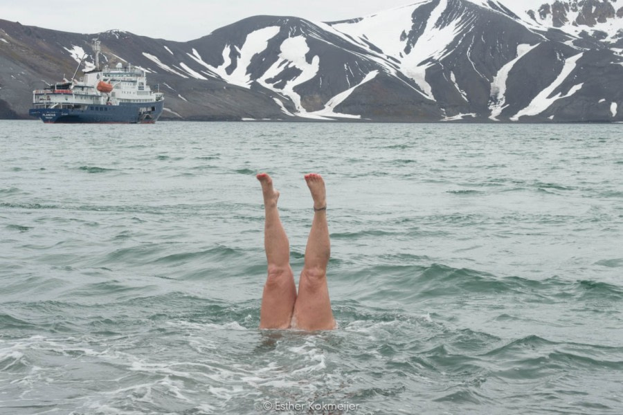 PLA25-17, 2018-01-06 Deception Island - Polar Plunge - Esther Kokmeijer-18_© Oceanwide Expeditions.jpg