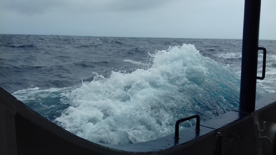 At Sea in the Drake Passage