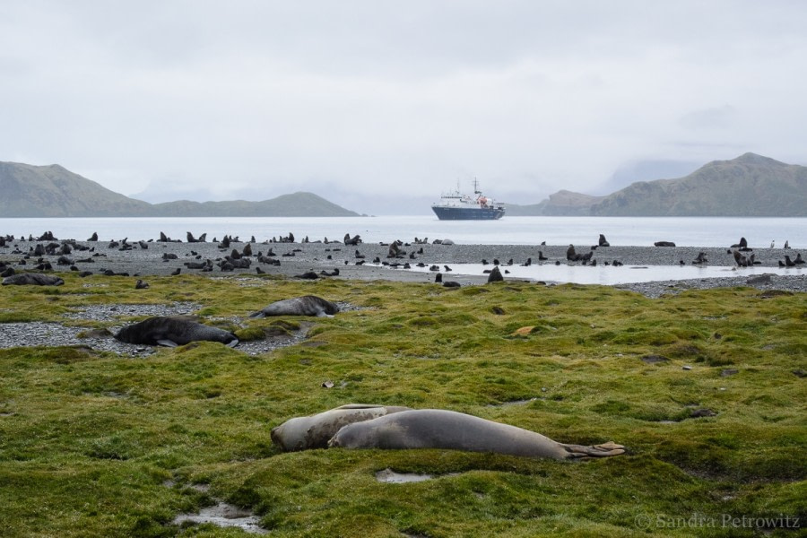 OTL25-18, Day 08, 20171223_SandraPetrowitz_Stromness_Ortelius_© Oceanwide Expeditions.jpg