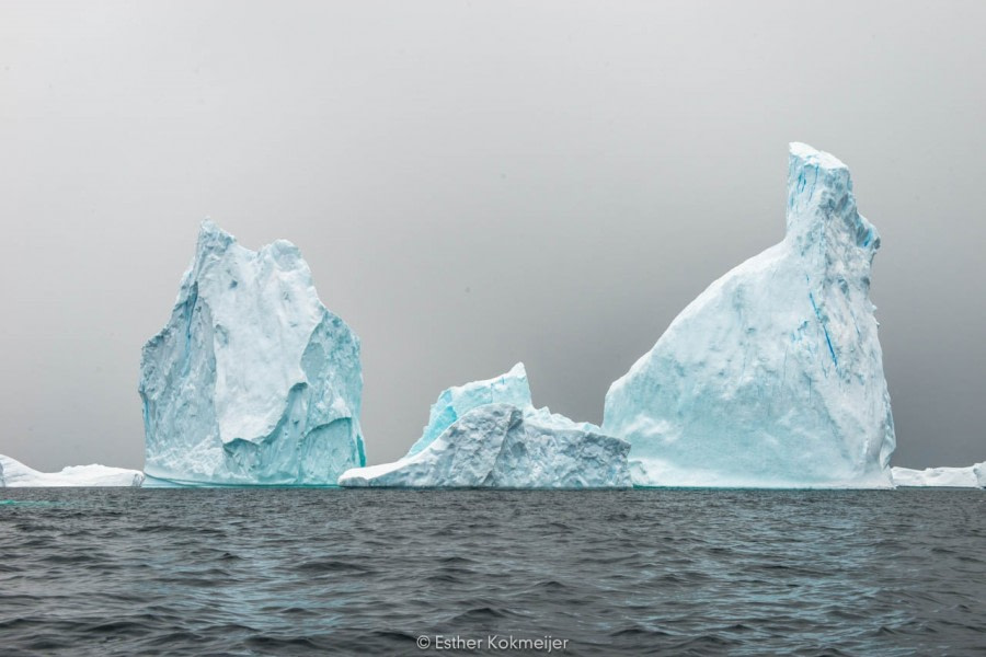 PLA25-17, 2018-01-04 Zodiac Cruize - Booth Island Bay - Esther Kokmeijer-14_© Oceanwide Expeditions.jpg