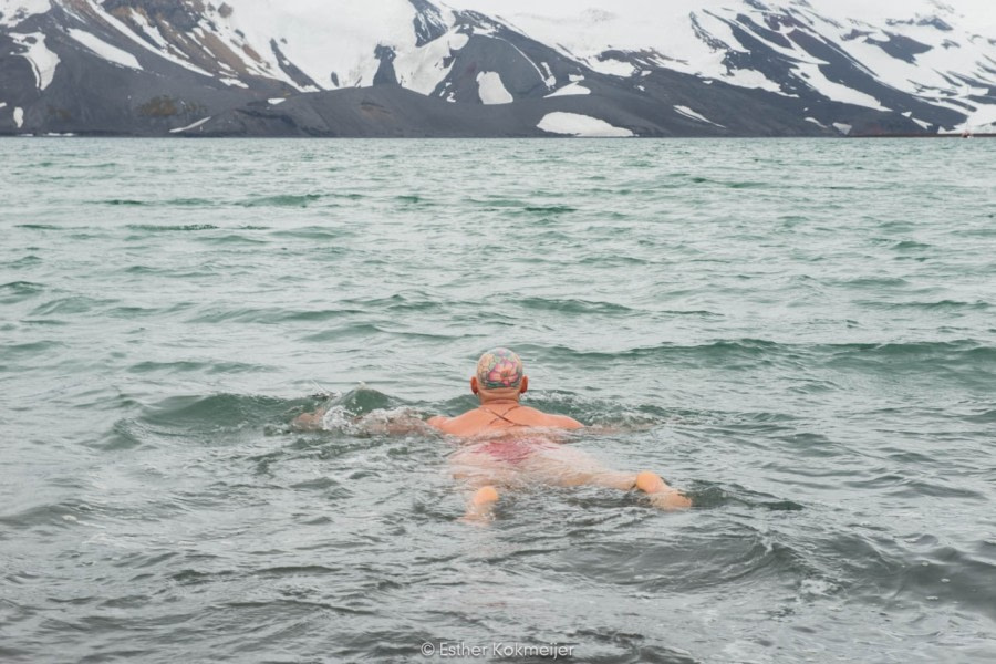 PLA25-17, 2018-01-06 Deception Island - Polar Plunge - Esther Kokmeijer-19_© Oceanwide Expeditions.jpg