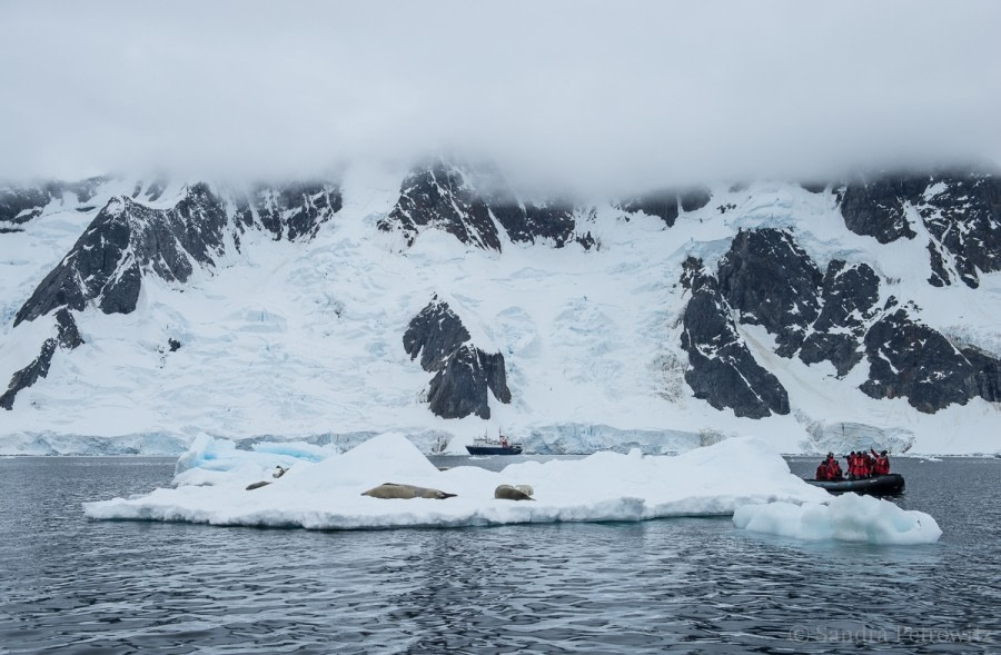 OTL26-18, Day 5 20180107_SandraPetrowitz_Pleneau_Scene_© Oceanwide Expeditions.jpg