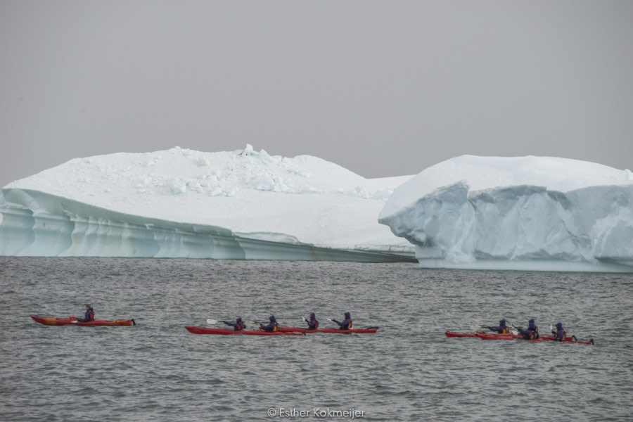 PLA24-17, 2017-12-22 - Cuverville Esther Kokmeijer-11_© Oceanwide Expeditions.jpg