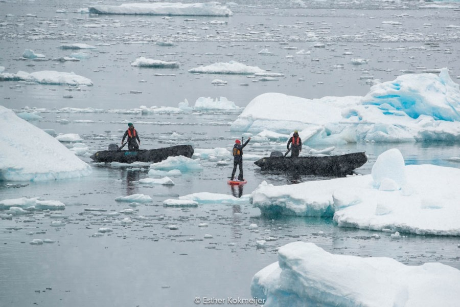 PLA25-17, 2018-01-04 Petermann - Esther Kokmeijer-08_© Oceanwide Expeditions.jpg