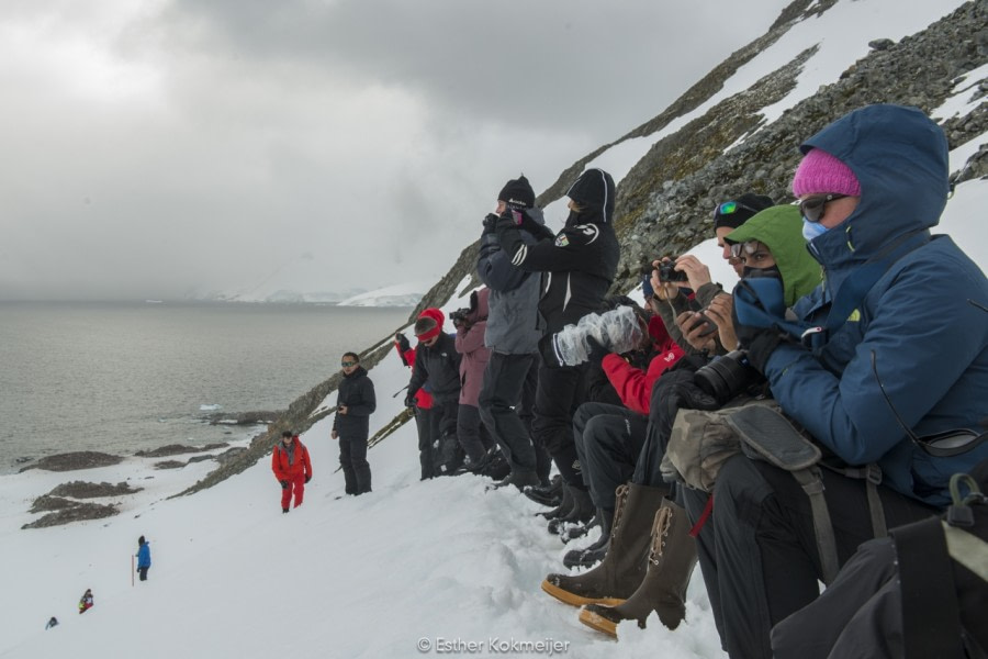 PLA24-17, 2017-12-22 - Cuverville Esther Kokmeijer-15_© Oceanwide Expeditions.jpg