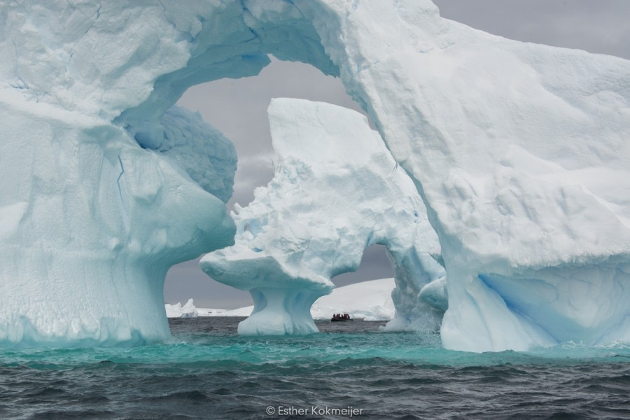 PLA24-17, 2017-12-23 - Zodiac Cruise Esther Kokmeijer-04_© Oceanwide Expeditions.jpg