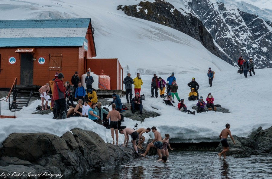 PLA24-17, 20171224_Katja Riedel_Plunge Base Brown_© Oceanwide Expeditions.jpg