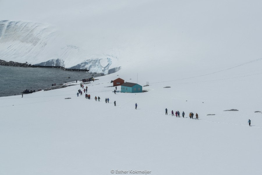 PLA24-17, 2017-12-21 - Damoy Point Esther Kokmeijer-11_© Oceanwide Expeditions.jpg