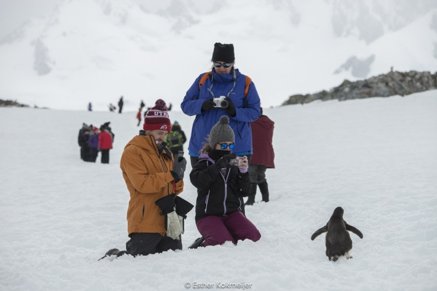 PLA24-17, 2017-12-22 - Cuverville Esther Kokmeijer-10_© Oceanwide Expeditions.jpg