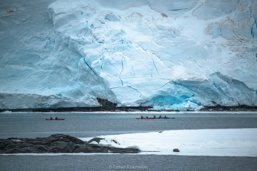 PLA25-17, 2018-01-02 Jougla Point - Esther Kokmeijer-12_© Oceanwide Expeditions.jpg