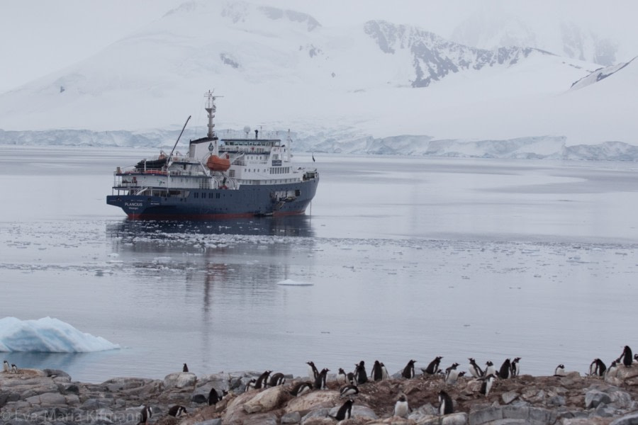 Dorian Bay and Port Lockroy and Jougla Point