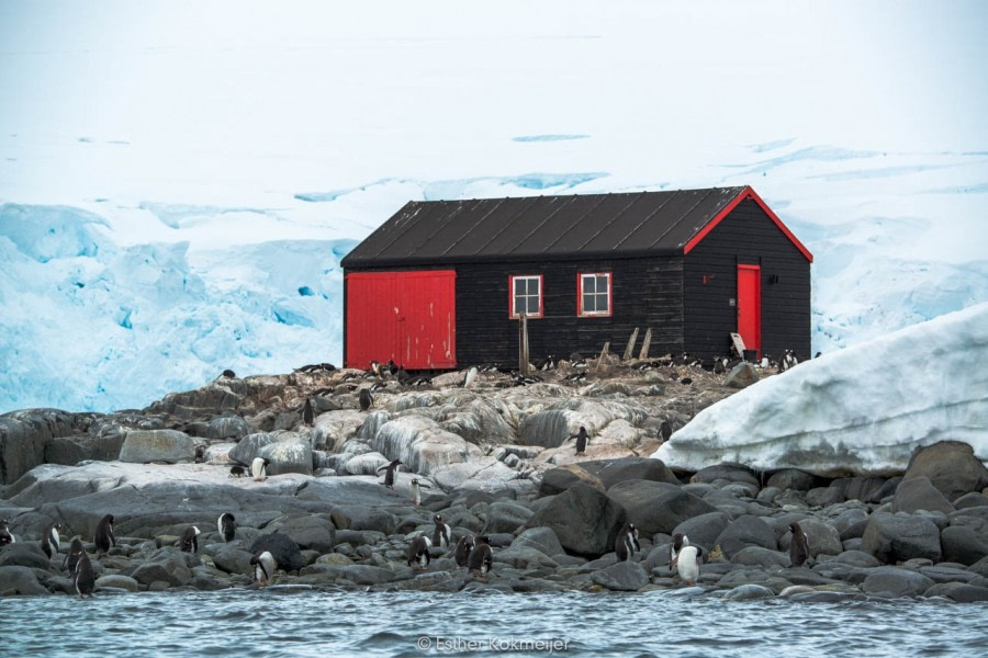 PLA25-17, 2018-01-03 Port Lockroy - Esther Kokmeijer-02_© Oceanwide Expeditions.jpg