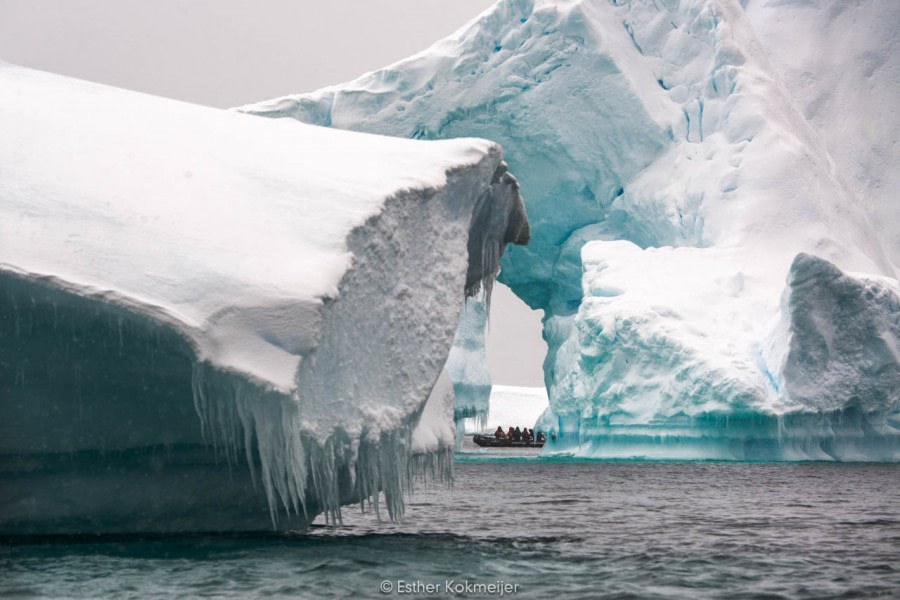 PLA25-17, 2018-01-04 Zodiac Cruize - Booth Island Bay - Esther Kokmeijer-11_© Oceanwide Expeditions.jpg