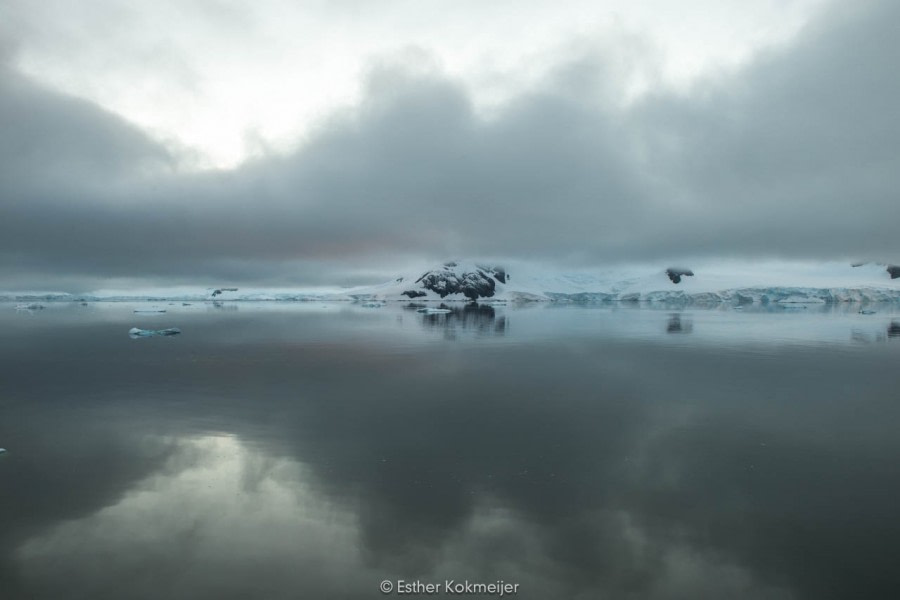 PLA25-17, 2018-01-04 Paradise Harbour - Esther Kokmeijer-06_© Oceanwide Expeditions.jpg