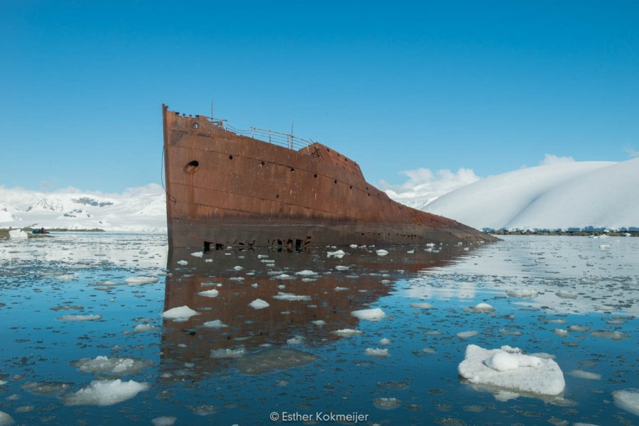 PLA25-17, 2018-01-05 Enterprise Bay - Esther Kokmeijer-06_© Oceanwide Expeditions.jpg