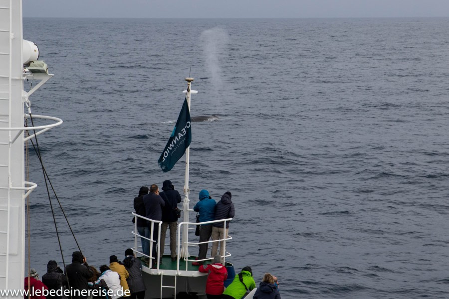 At Sea to the South Orkney Islands.