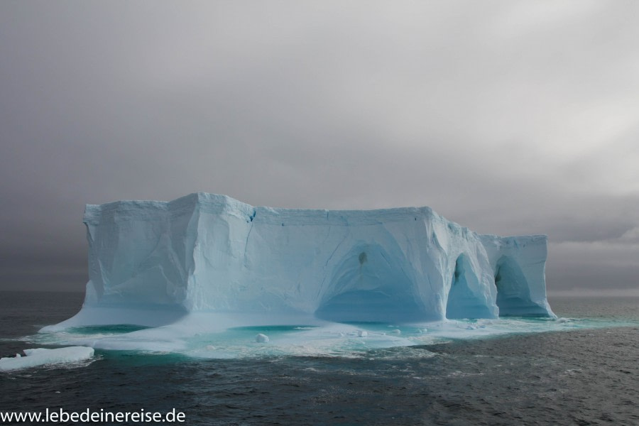 PLA27-18_IMG_4771-2.jpg-Daniel Hoehne © Oceanwide Expeditions.jpg