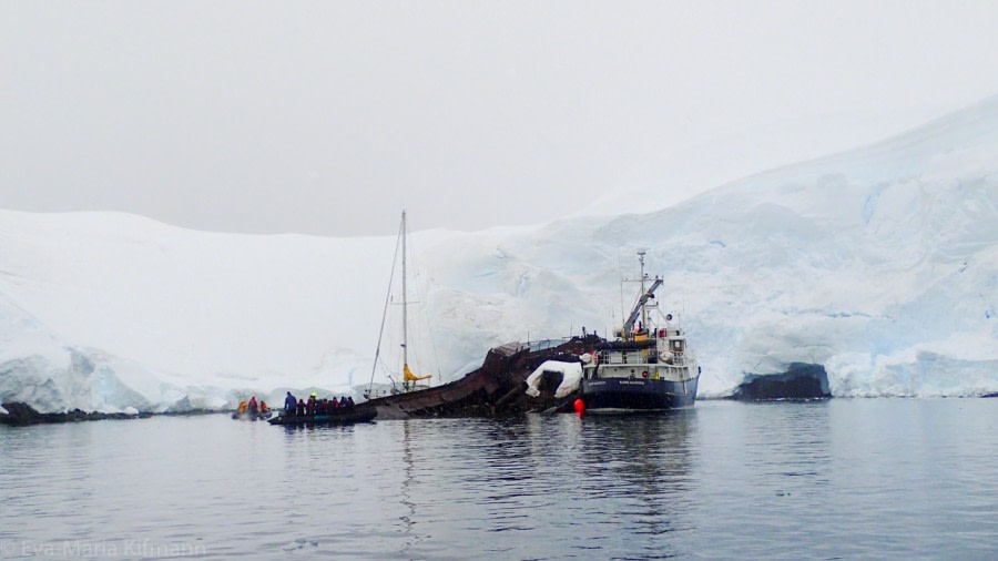 Foyn Harbour