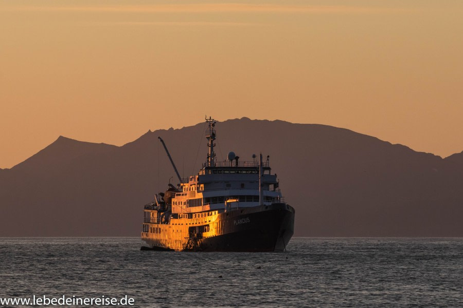 Gold Harbour und Cooper Bay, Südgeorgien