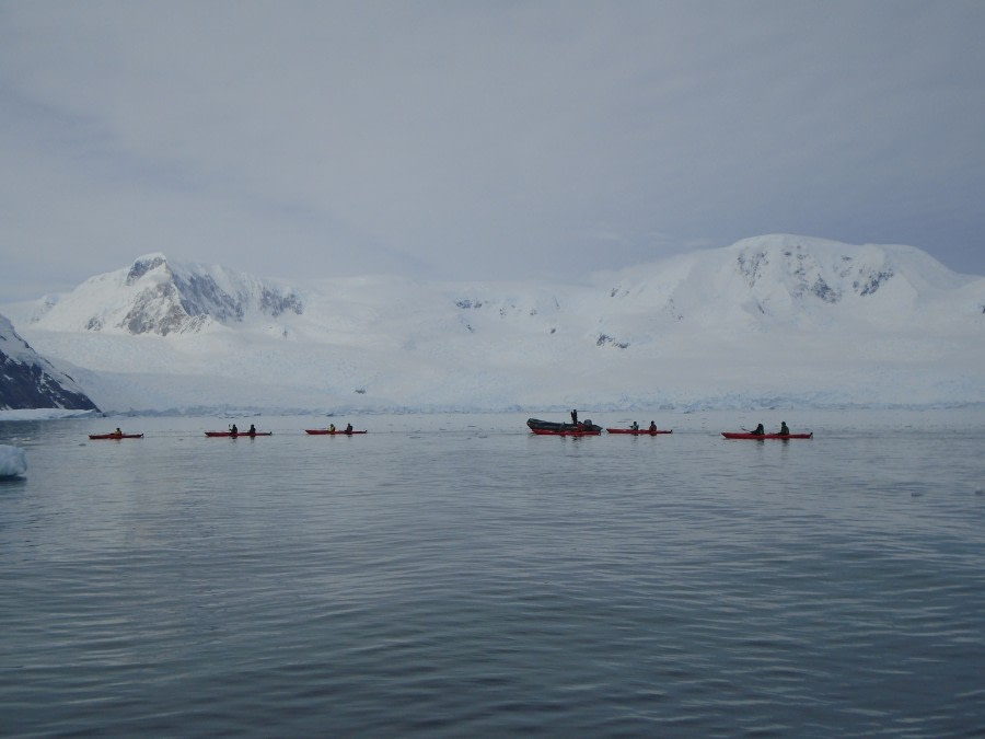 OTL28-18_Kayakers 3 © Oceanwide Expeditions.JPG