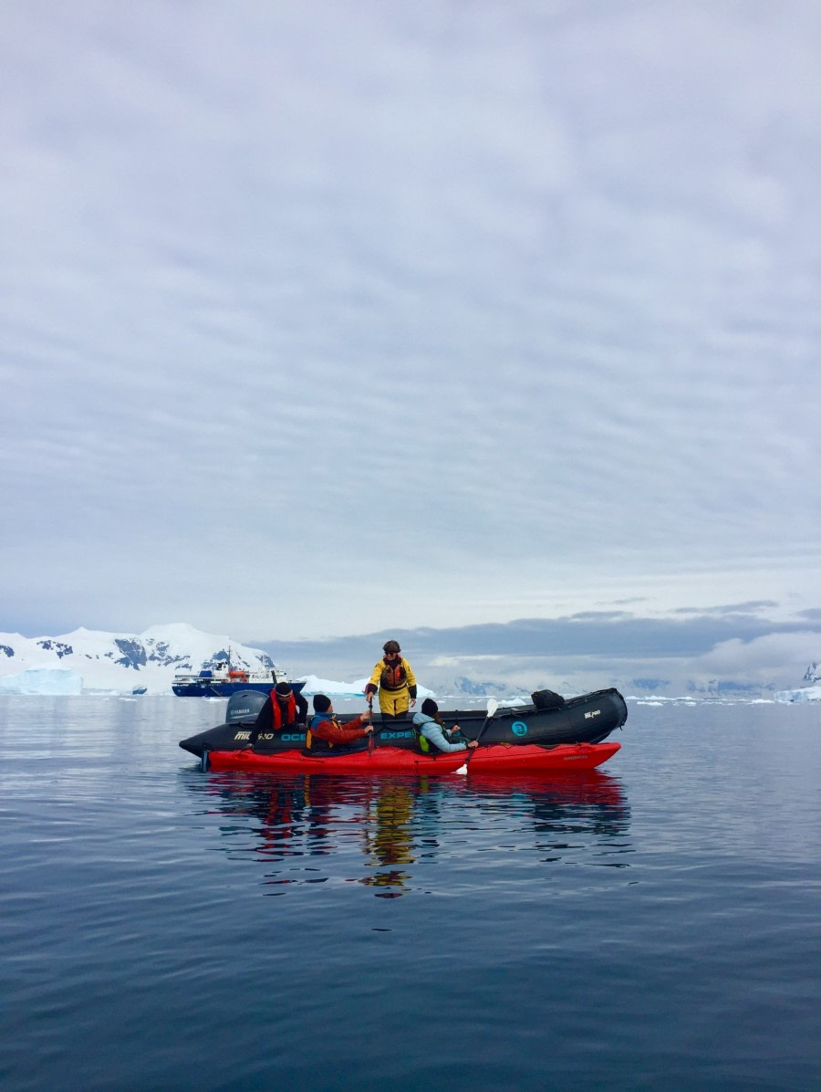 OTL28-18_kayak paddles © Oceanwide Expeditions.jpg