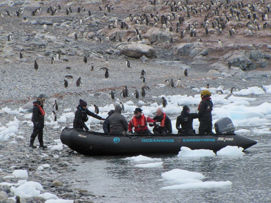 OTL28-18_Cuverville Island zodiac © Oceanwide Expeditions.jpg