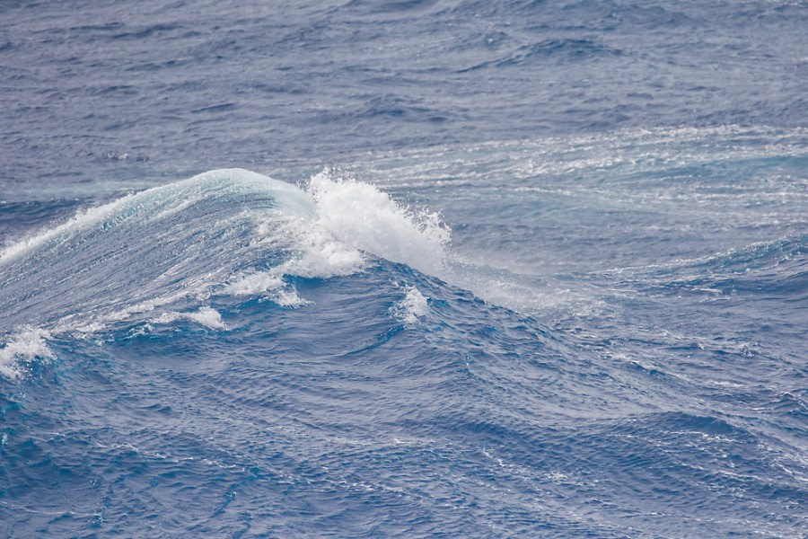 At Sea towards the Antarctic Peninsula