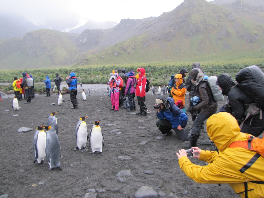 OTL29-18 Day 10 Gold Harbour people 2 © Oceanwide Expeditions.JPG