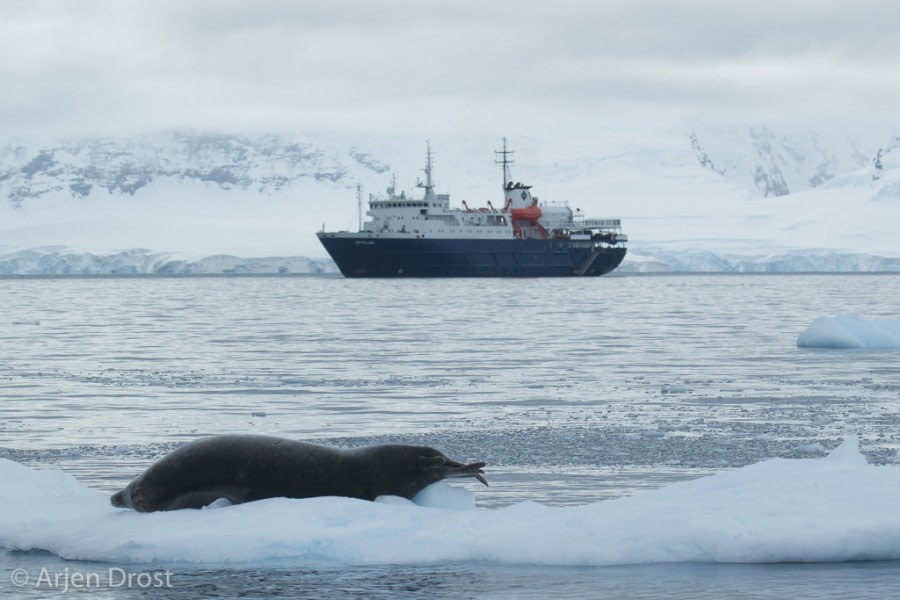 OTL31-18 Day 4 20180306_Arjen_Drost_63980 © Oceanwide Expeditions.jpg