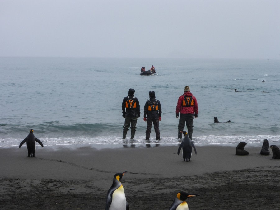 OTL29-18 Day 7 OTL29-18 Day 2 P1070315 © Oceanwide Expeditions © Oceanwide Expeditions.jpg