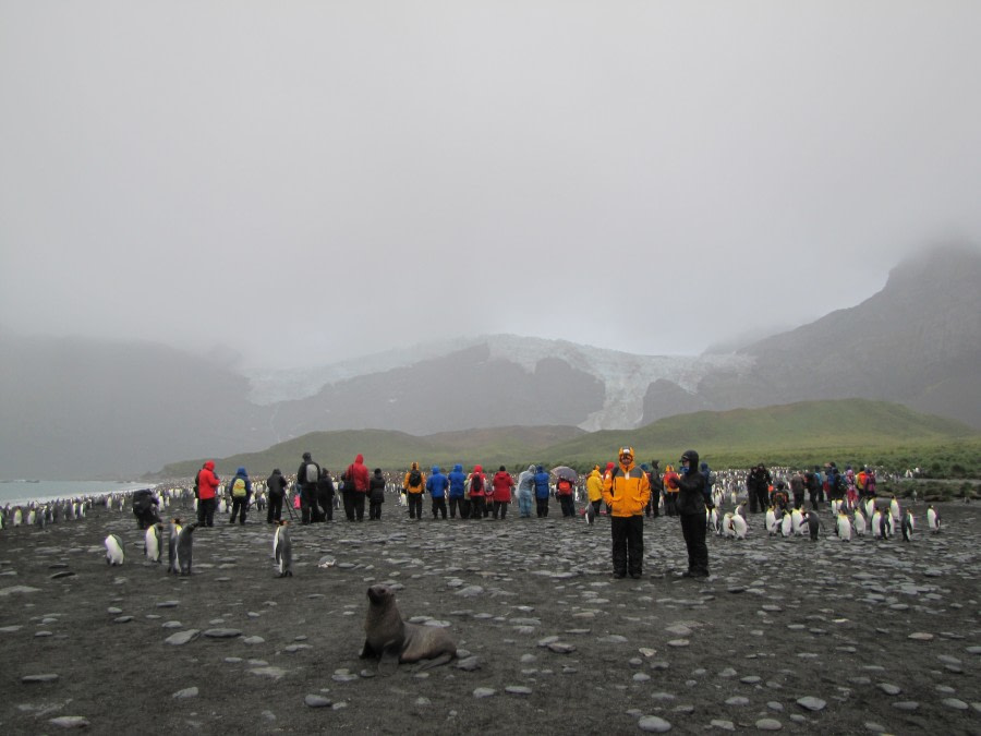 OTL29-18 Day 10 Gold Harbour people 1 © Oceanwide Expeditions.JPG