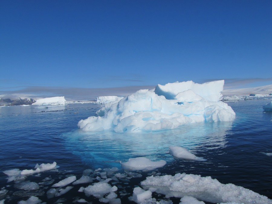 OTL29-18 Day 14 Brown Bluff bergy bit © Oceanwide Expeditions.JPG